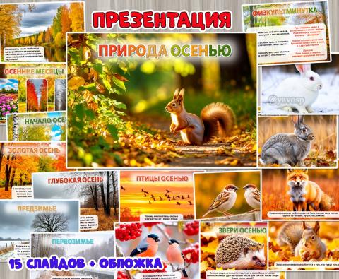 Презентация «Природа осенью» из 16 слайдов. ()